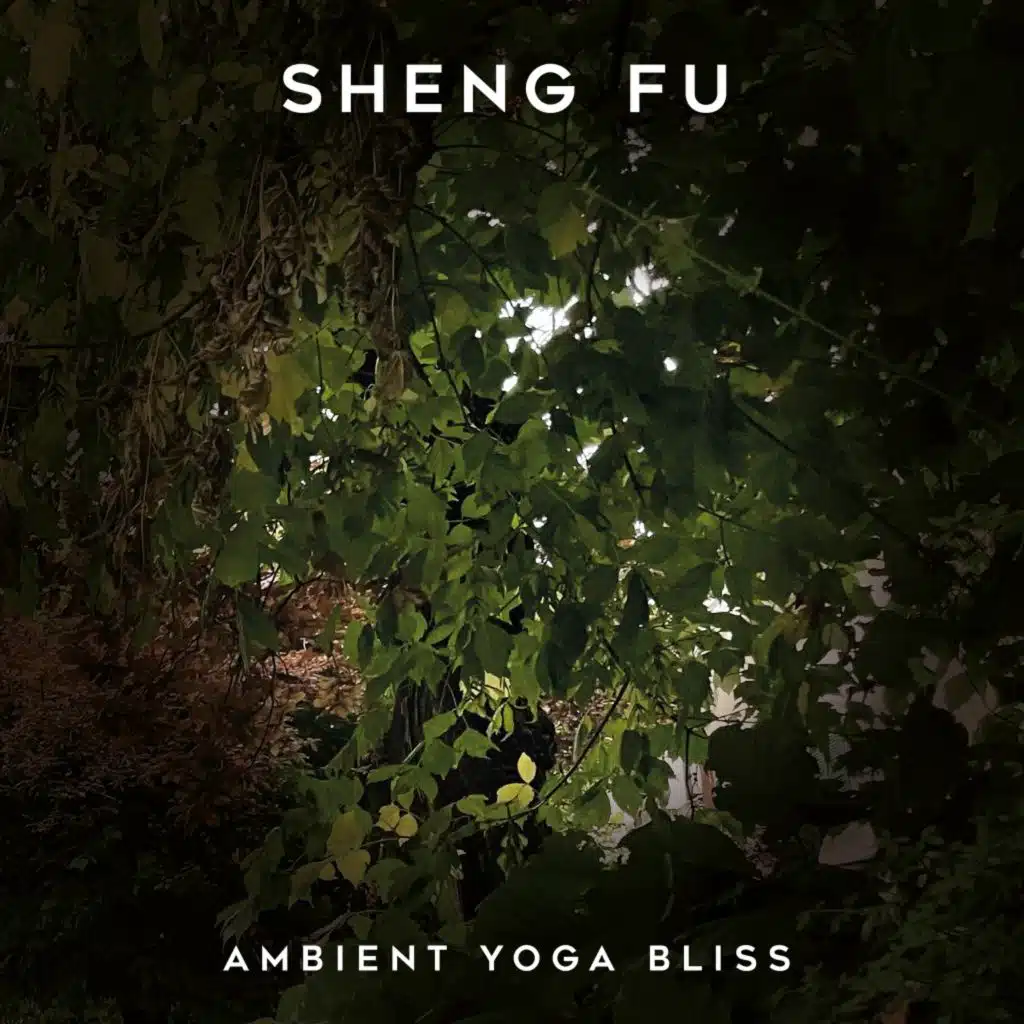 Ambient Yoga Bliss