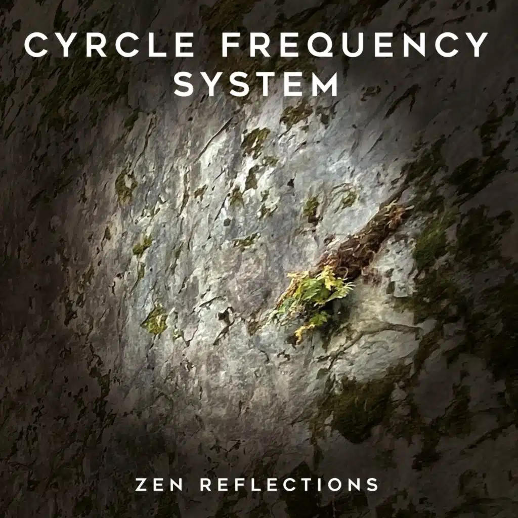 Cyrcle Frequency System