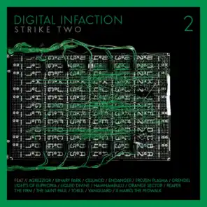 Digital Infaction Strike 2