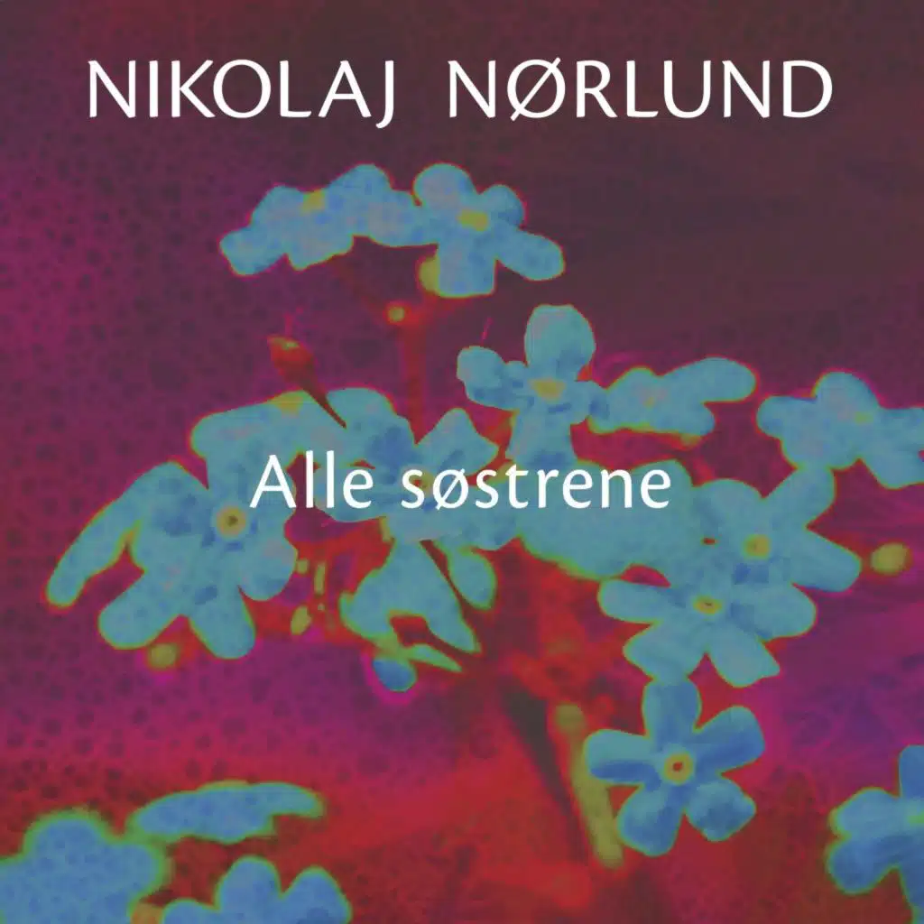 Alle Søstrene