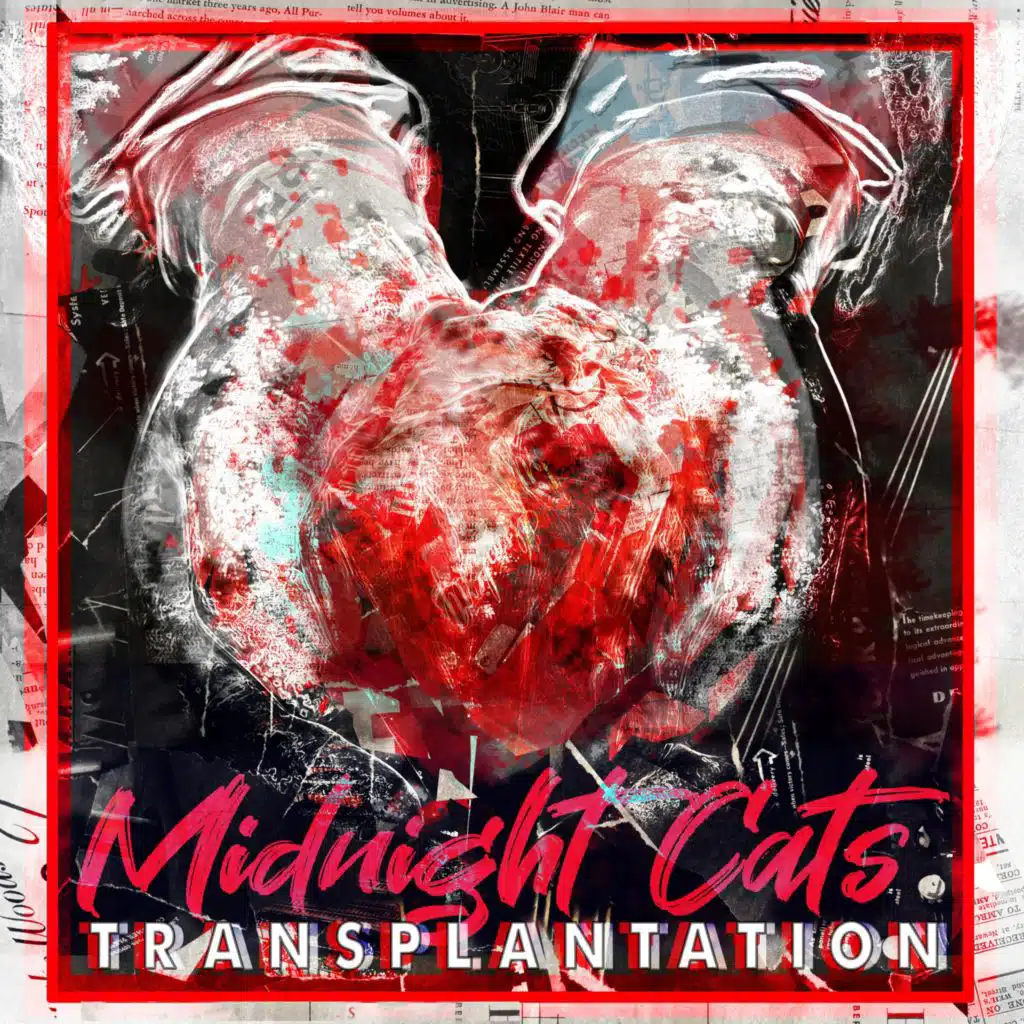 Midnight Cats