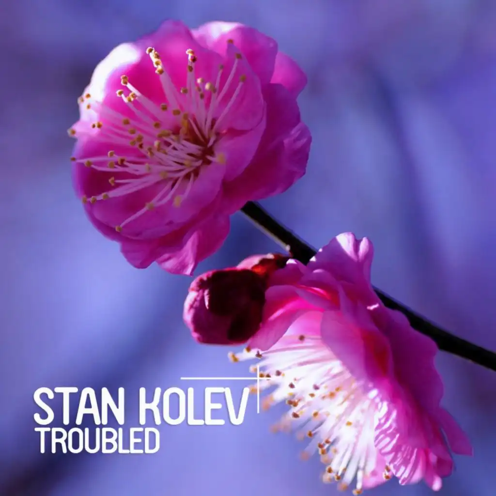 Troubled (Instrumental Dub Mix)