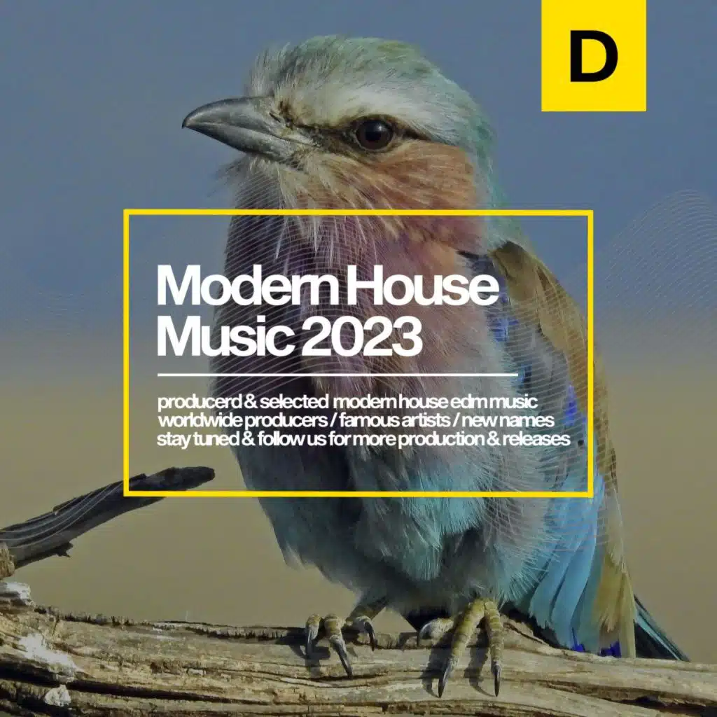 Modern House Music 2023