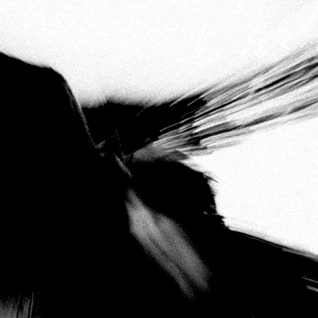 Ensaime & Matteo Ceccarini