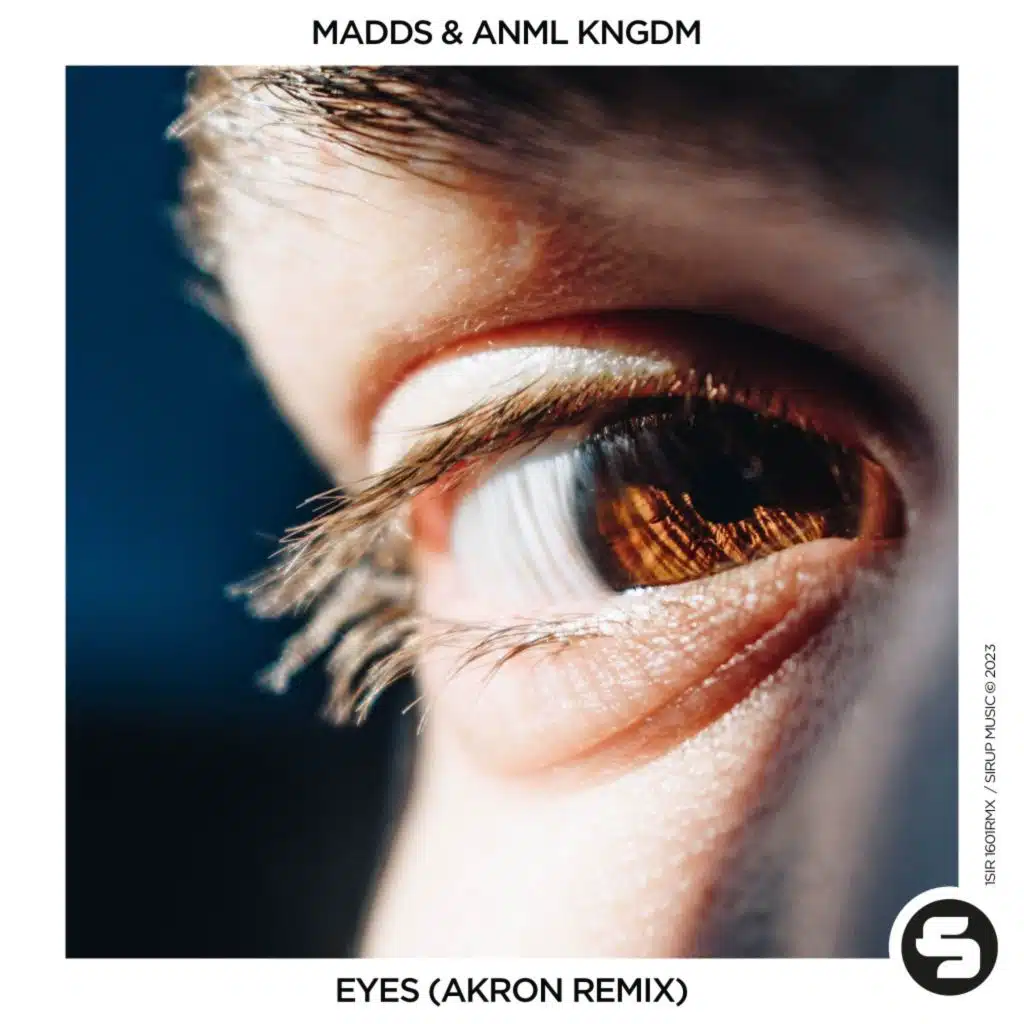 Madds & ANML KNGDM