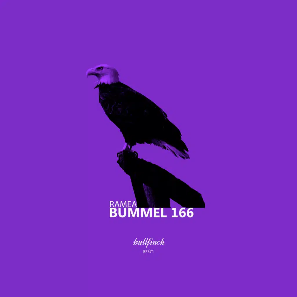 Bummel 166