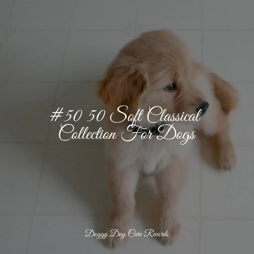 #50 50 Soft Classical Collection For Dogs