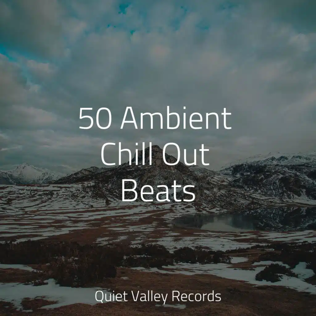 50 Ambient Chill Out Beats