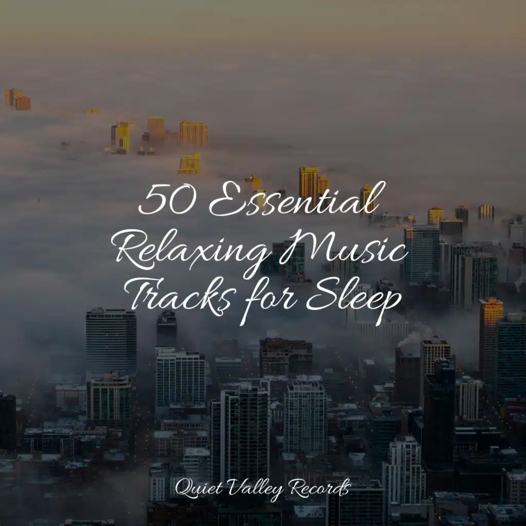 50 Essential Relaxing Music Tracks for Sleep