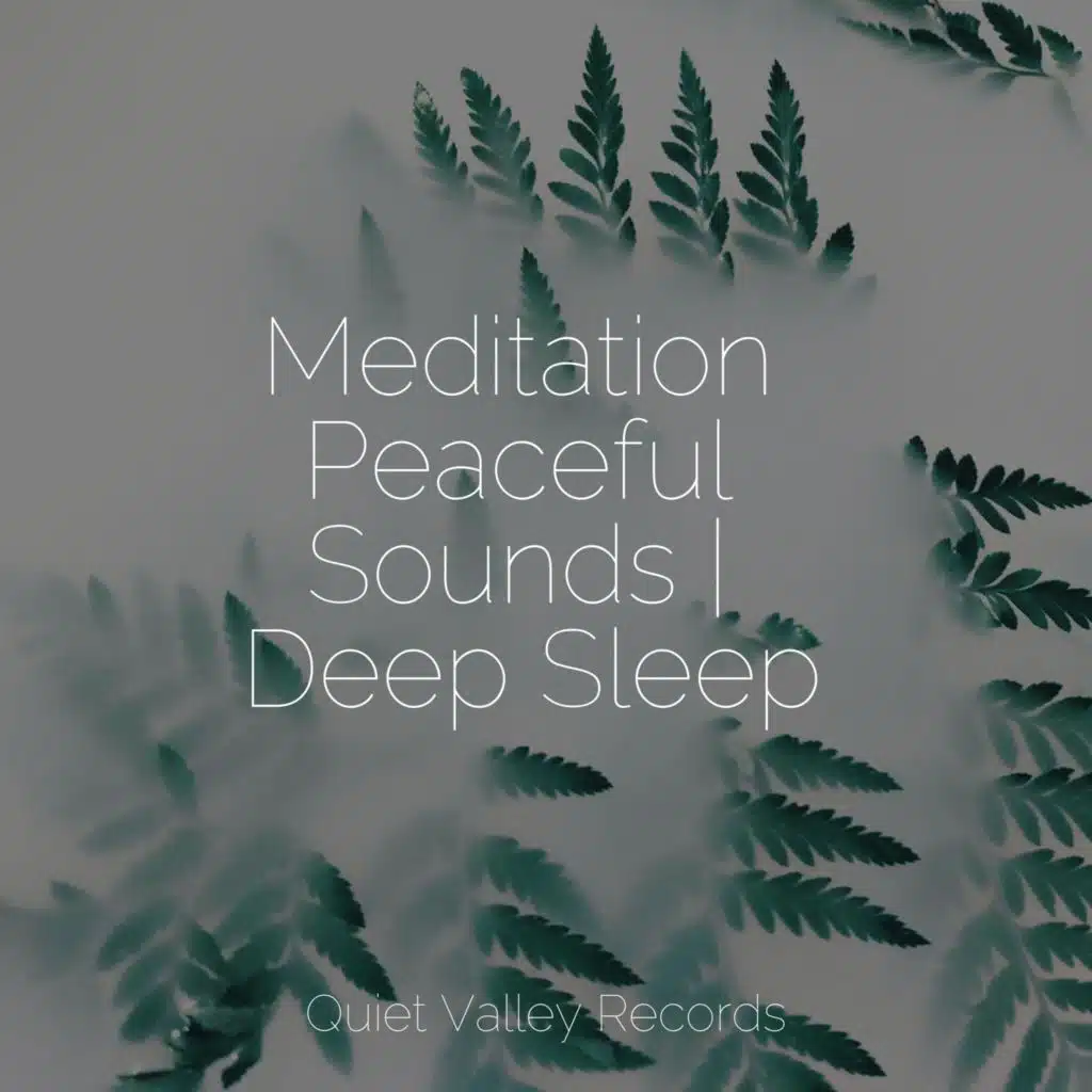 Meditation Peaceful Sounds | Deep Sleep