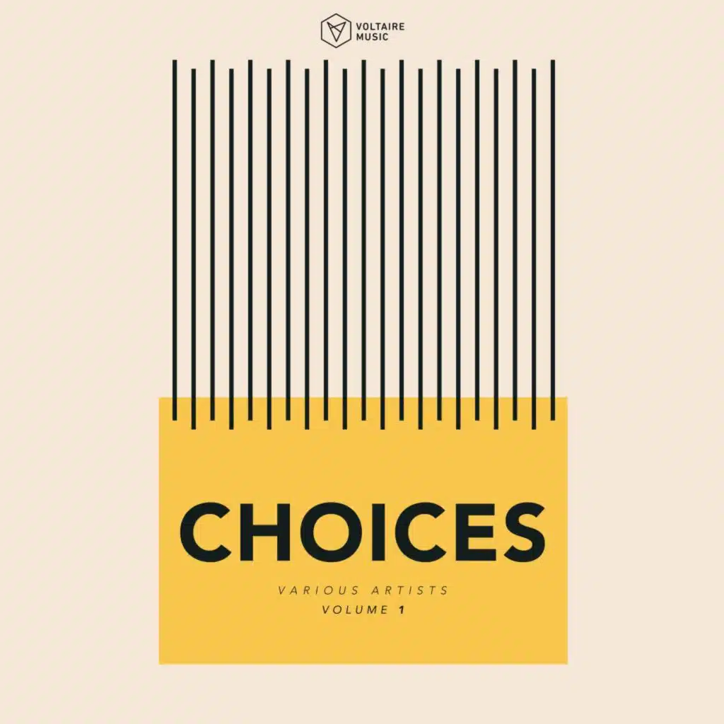 Voltaire Music Pres. Choices, Vol. 1