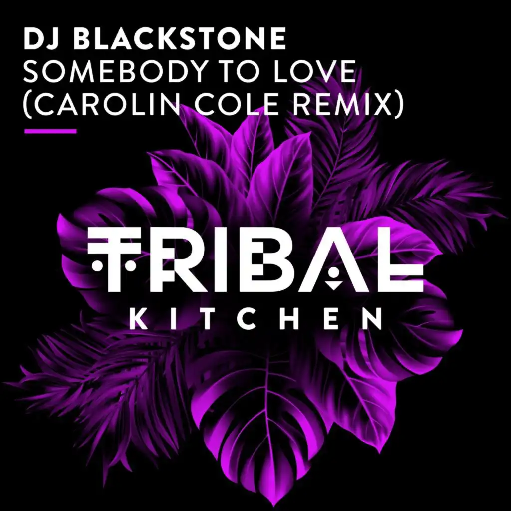 Somebody to Love (Carolin Cole Remix)