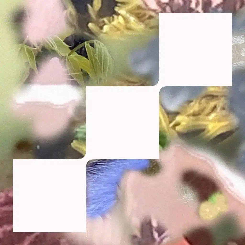 Tripolism & Rosa Lee Luna