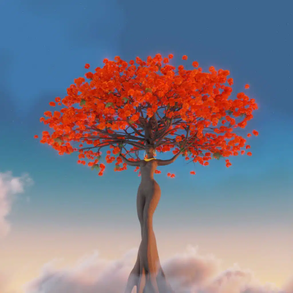 Poinciana