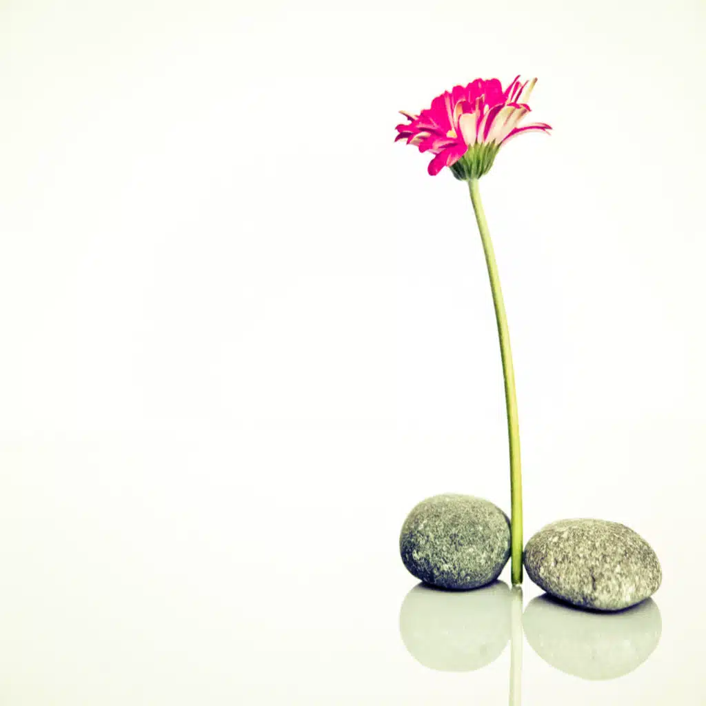 Not So Sexy™ Episode 20 - Masturbation