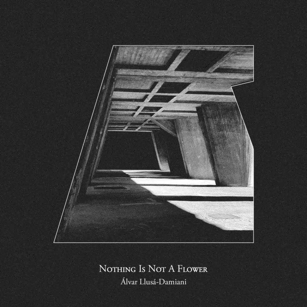 Nothing Is Not A Flower