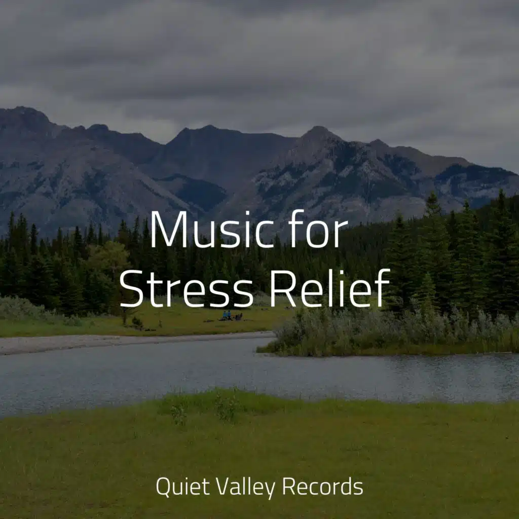 Music for Stress Relief