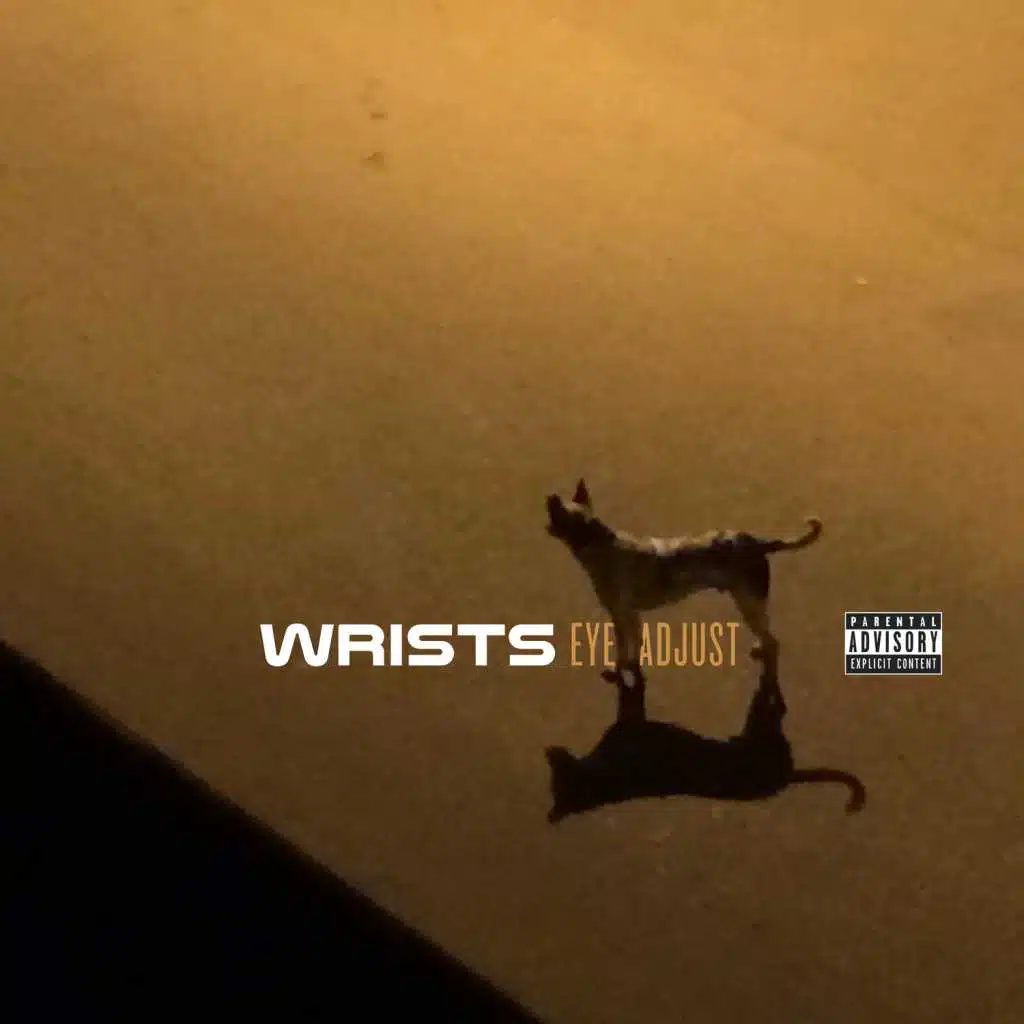Eye Adjust EP