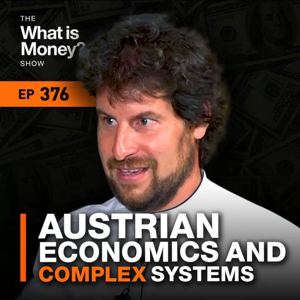 Austrian Economics and Complex Systems with Rahim Taghizadegan (WiM376)