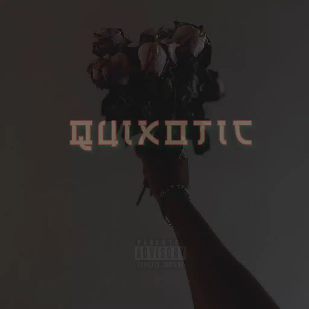 Quixotic