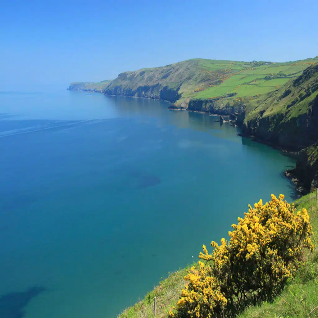 264 – The Lost Rebellion