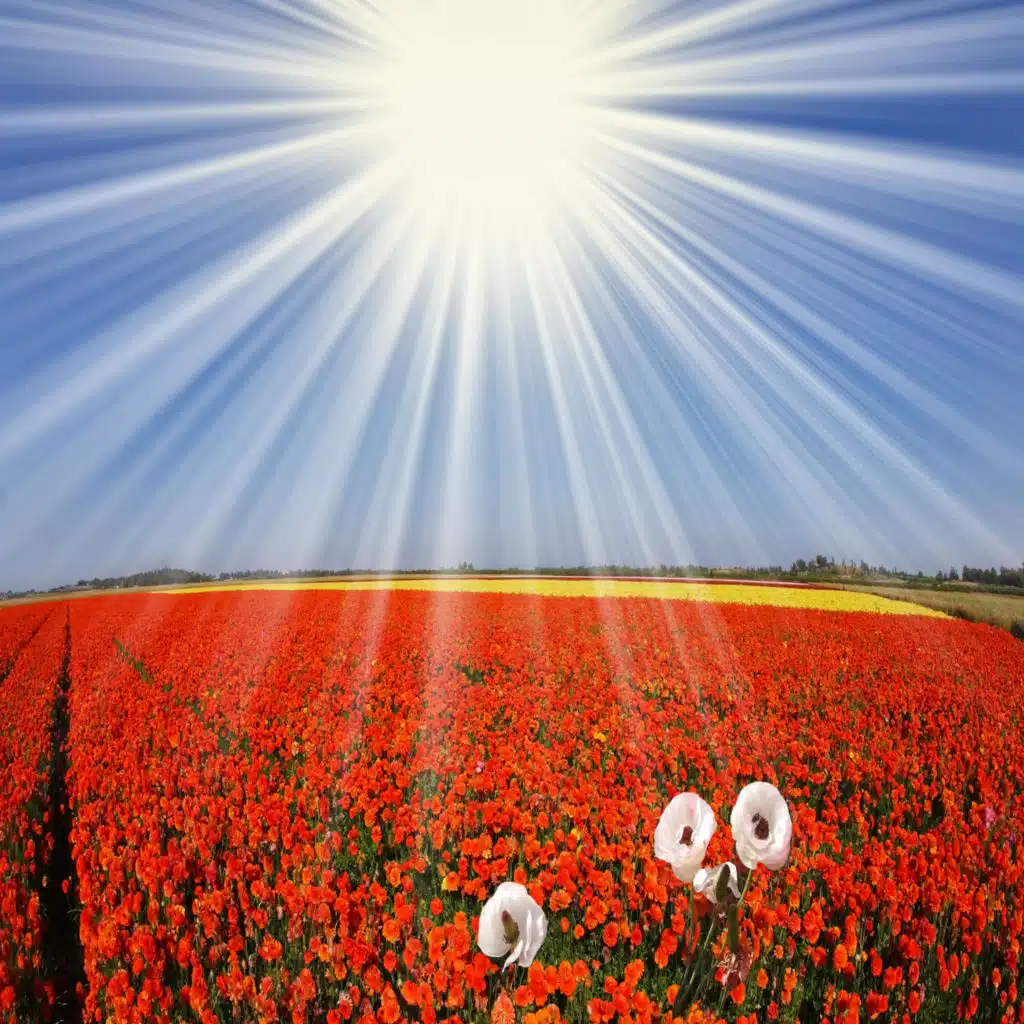 POP 374 - Peculiar People - Part 1