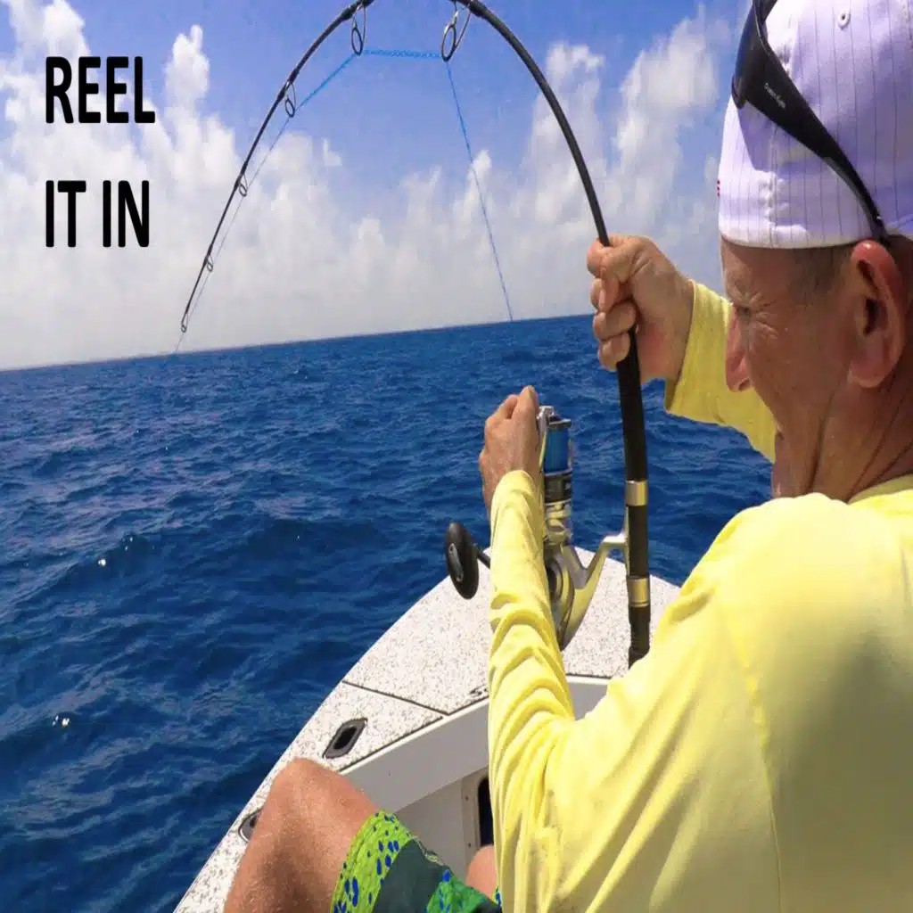 POP 376 - Reel It In