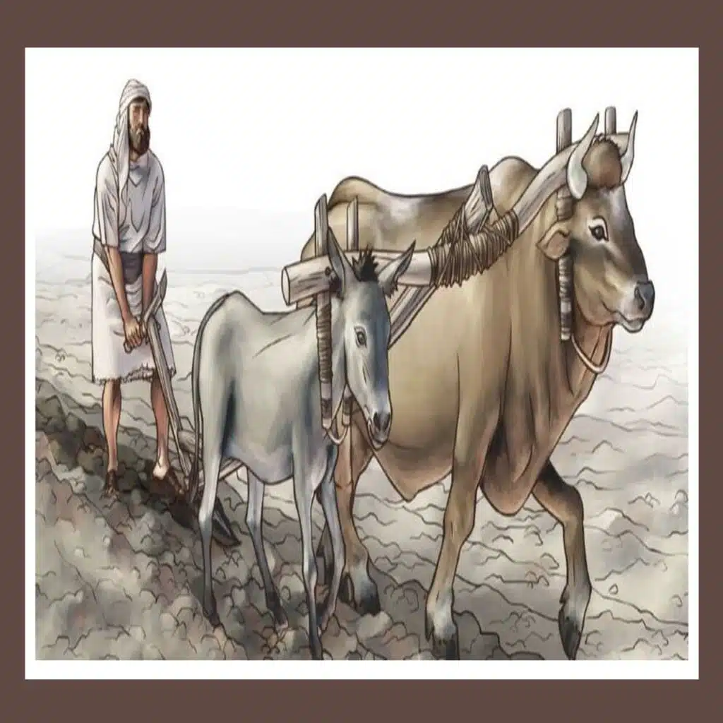 POP 370 - Run To God - Part 2