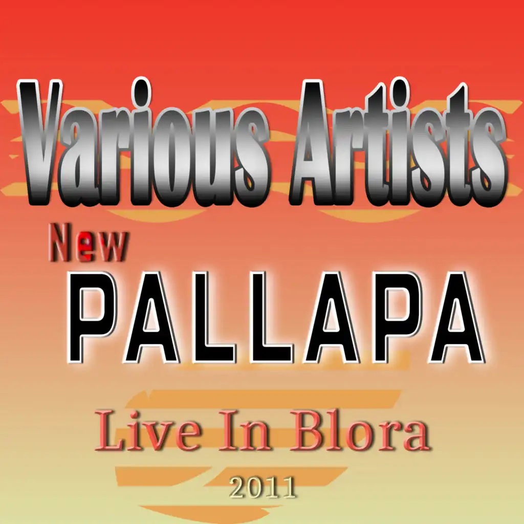 New Pallapa Live In Blora 2011