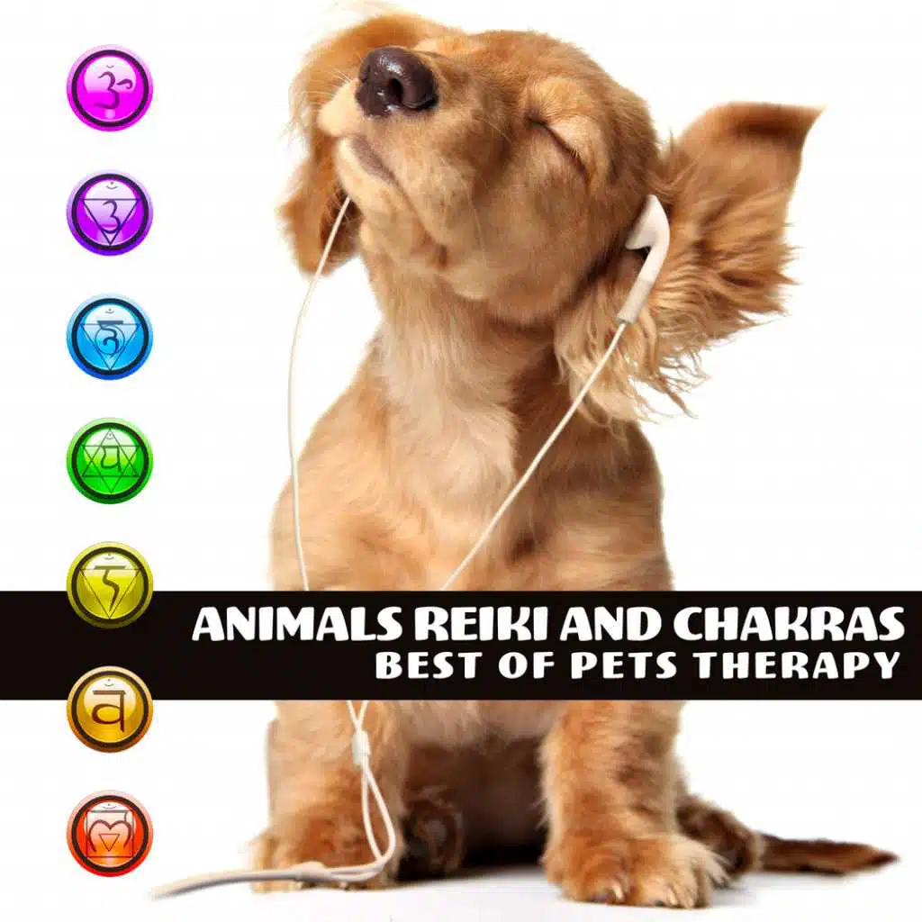 Pet Care Club and Reiki Healing Zone