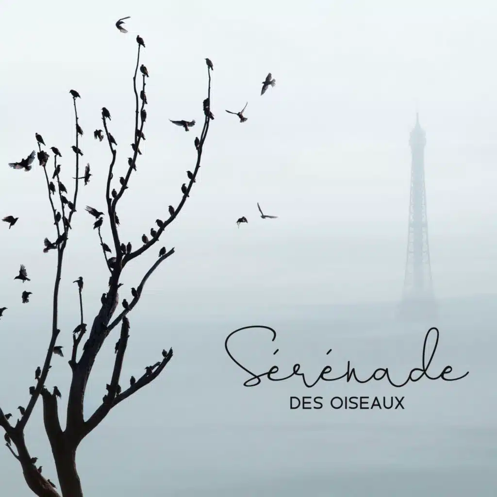 Sérénade des oiseaux
