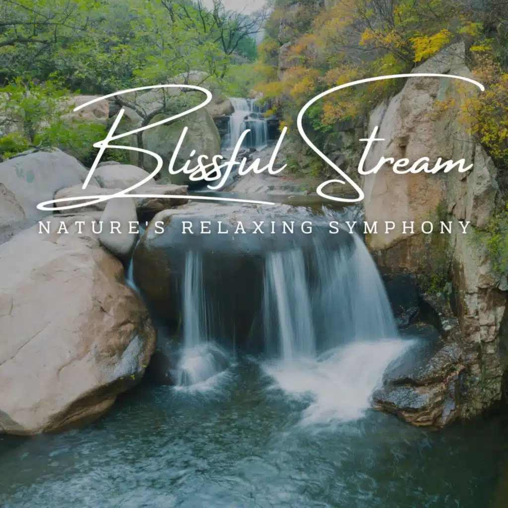 River's Gentle Stream Serenade