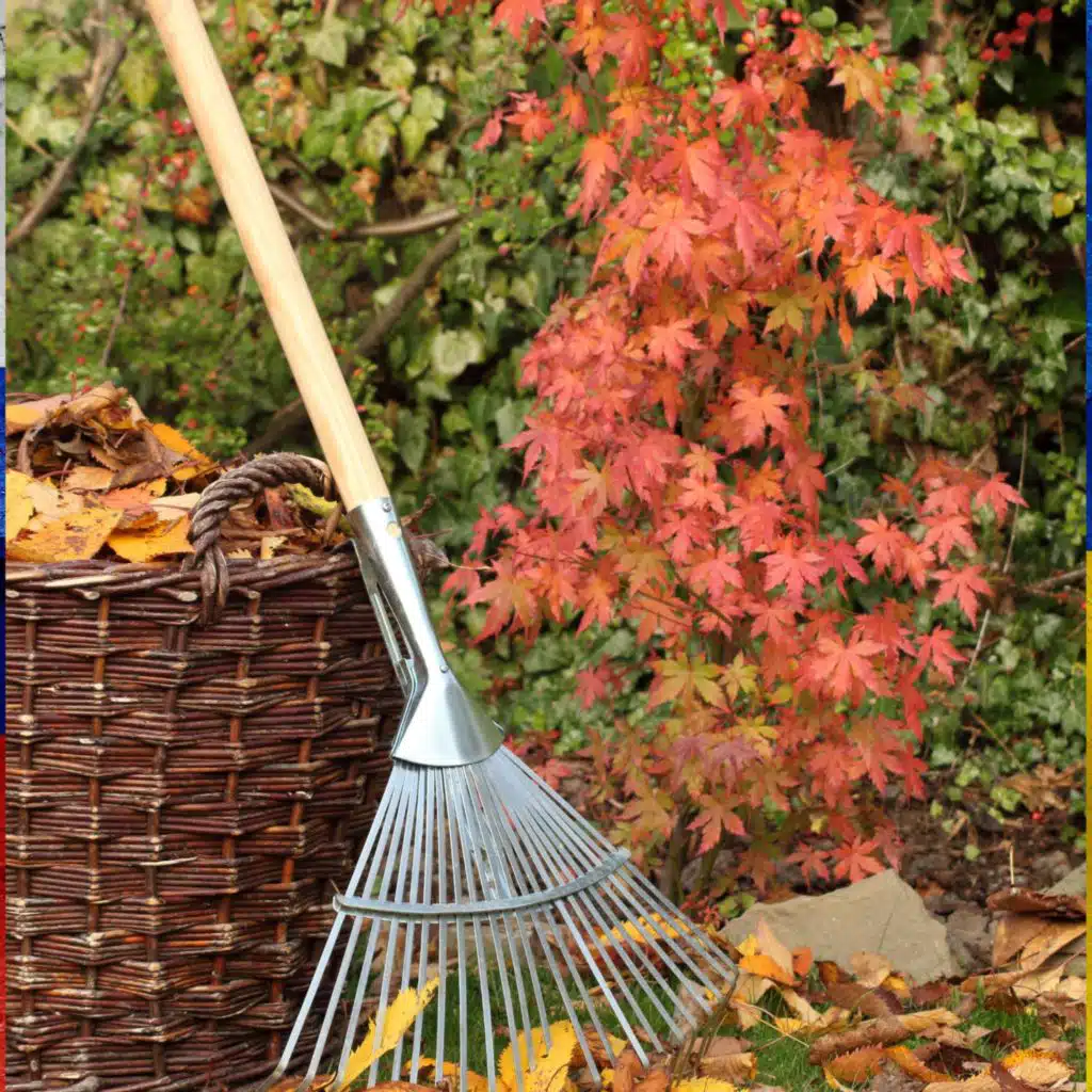 Autumn gardening with Paraic Horkan