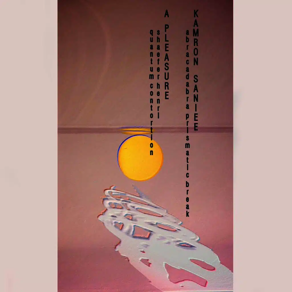 Kamron Saniee / A Pleasure Split