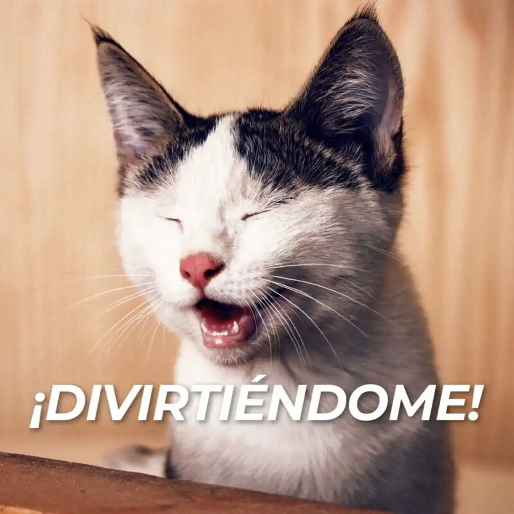 ¡Divirtiéndome!