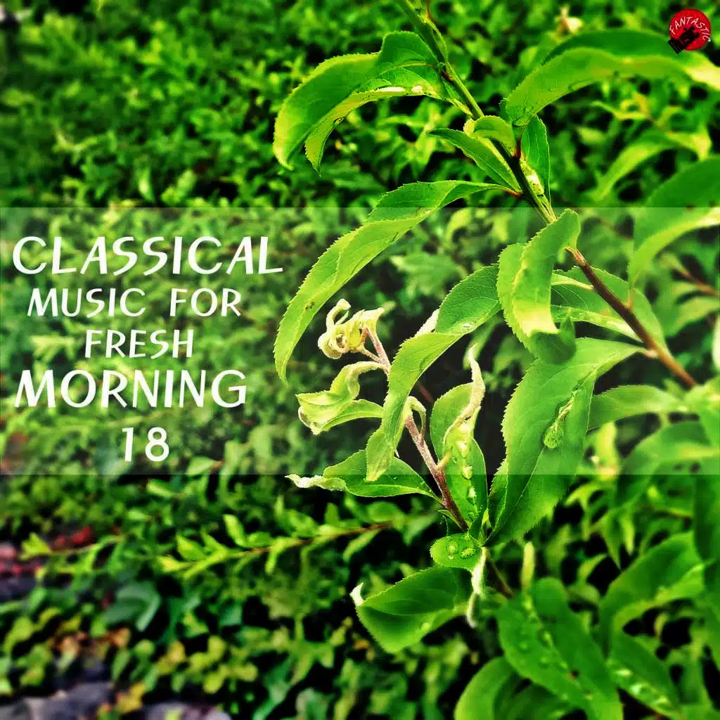 Goldberg Variations BWV. 988: - I. Aria