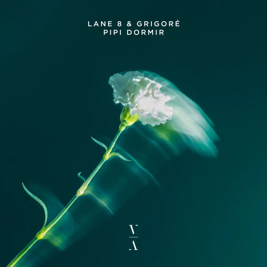 Lane 8 & Grigoré