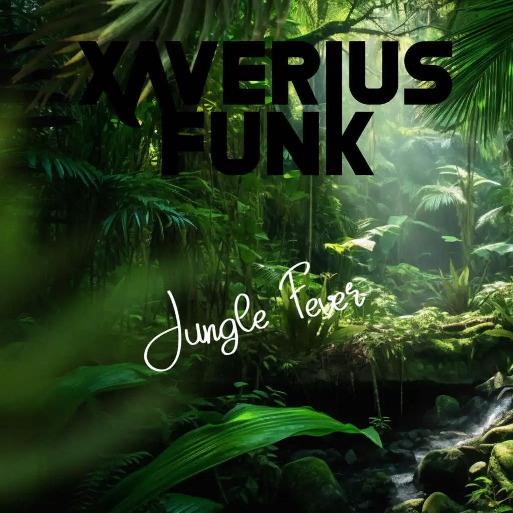 Xaverius Funk