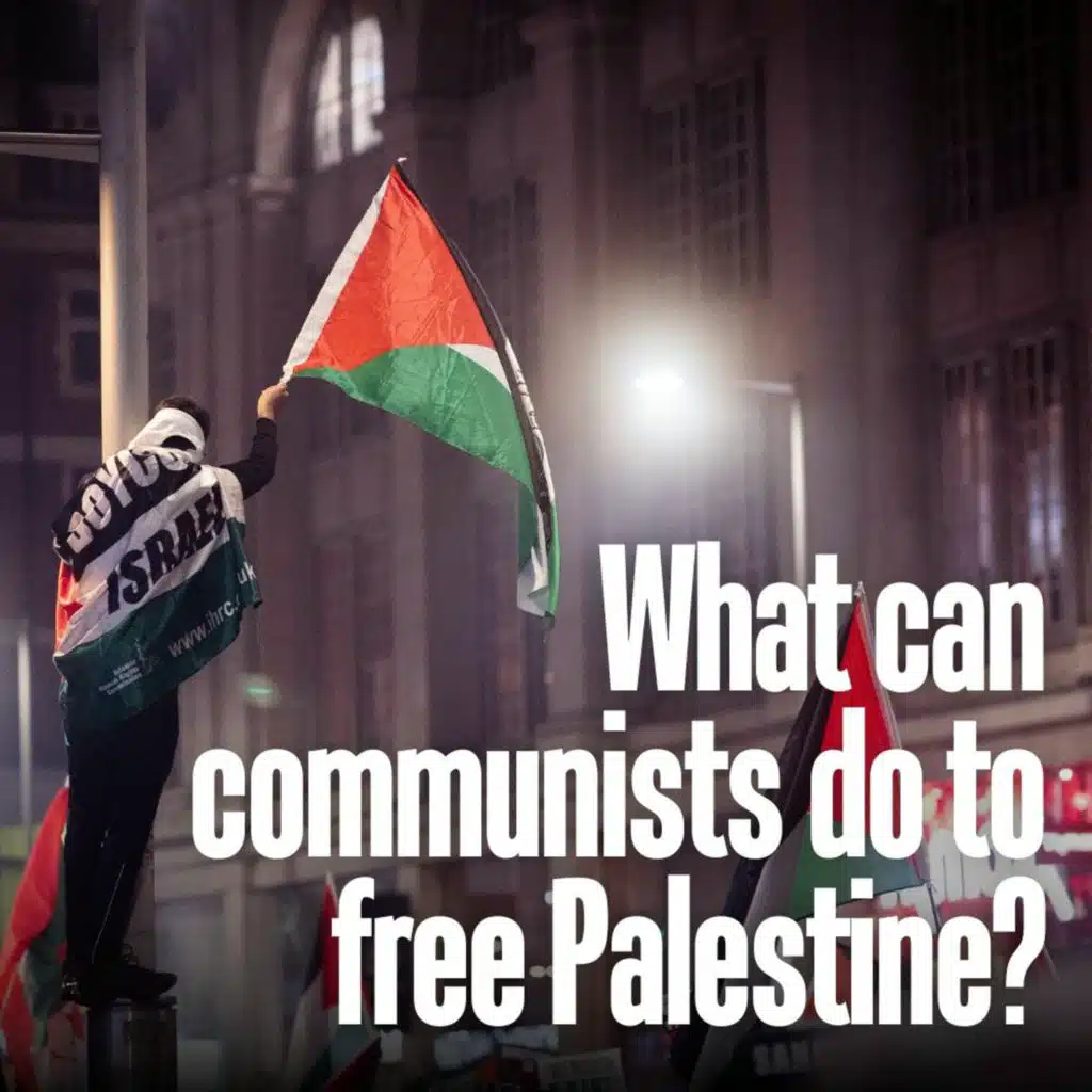 What can communists do to free Palestine?