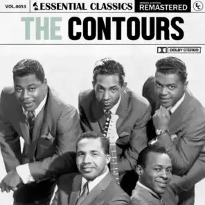 Essential Classics, Vol. 53: The Contours (2023 Remastered)
