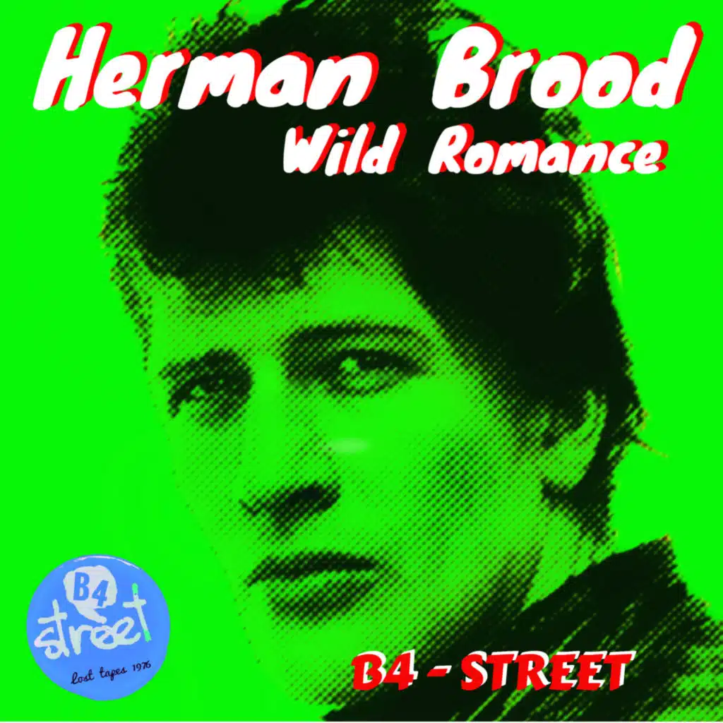 Herman Brood & His Wild Romance
