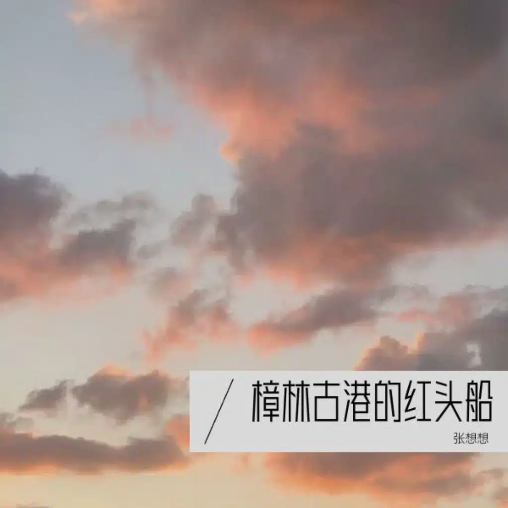 张想想