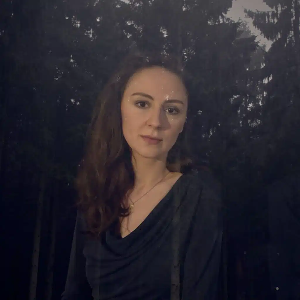 November Sun (feat. Heinz Rebellius)