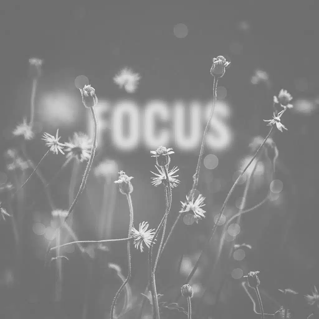 Focus (feat. Lena Leon)