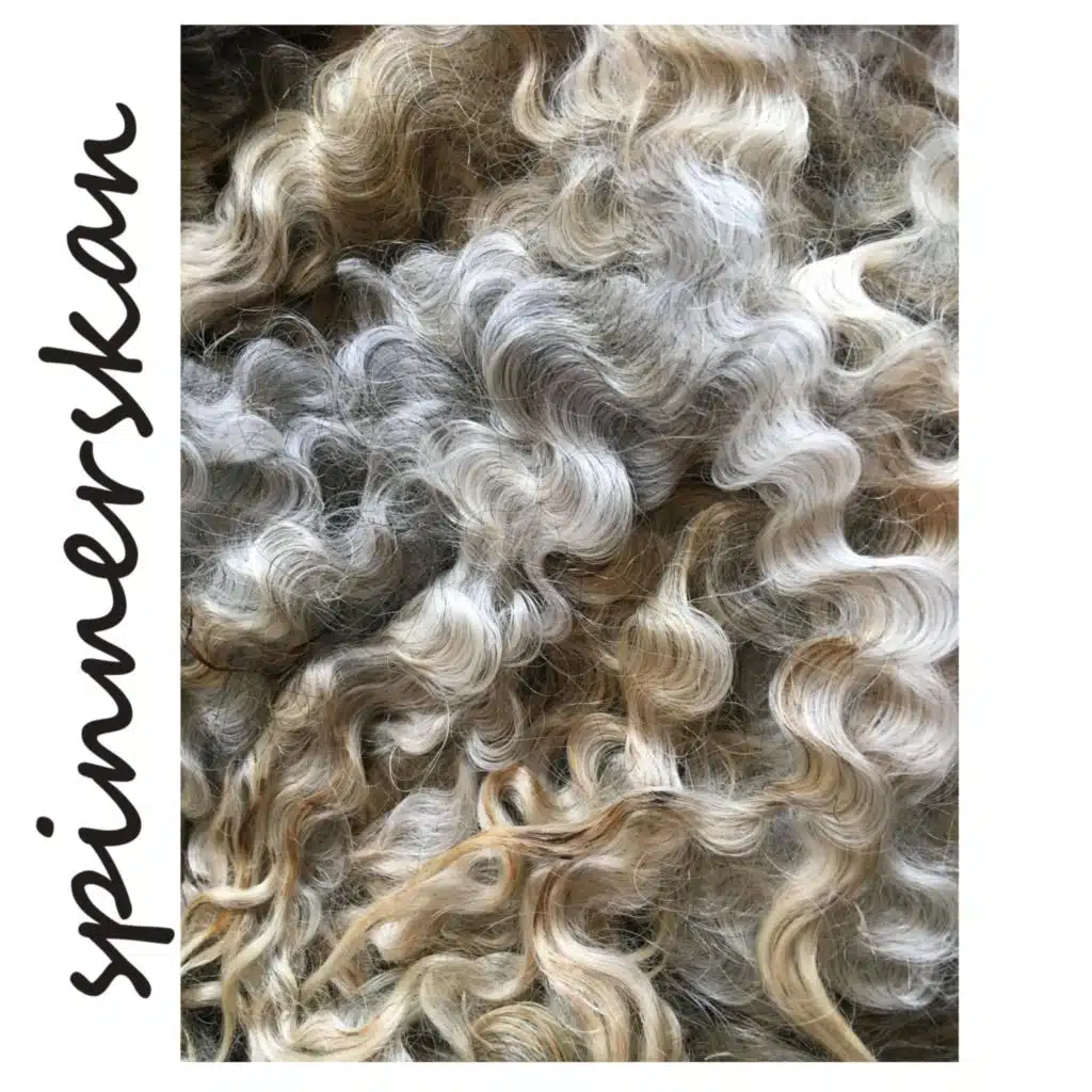 spinnerskan (feat. Fredrik Bergfeldt)