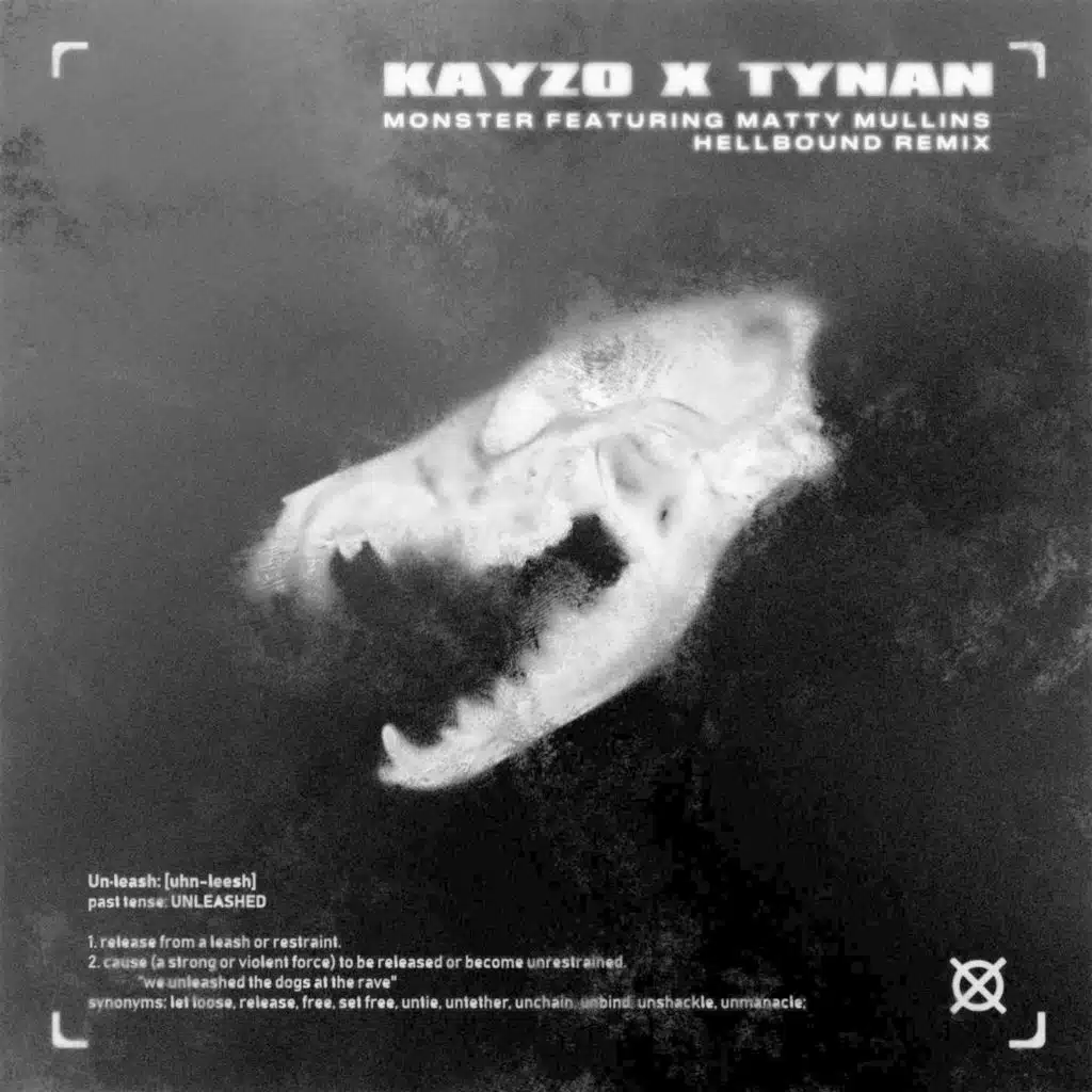 Kayzo & TYNAN