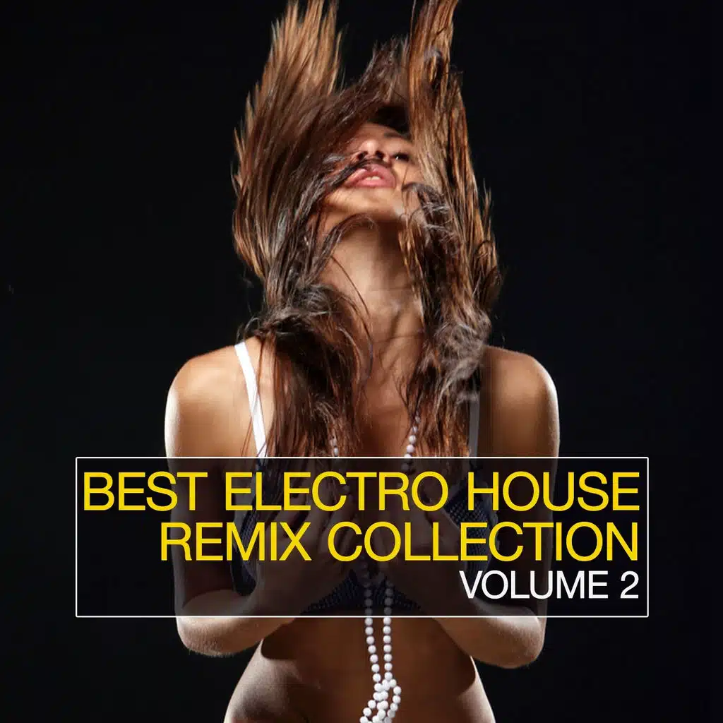 Best Electro House Remix Collection, Vol. 2