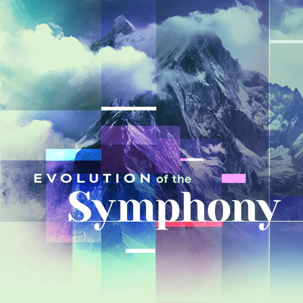 Symphony No. 49 in F Minor "La Passione“: I. Adagio