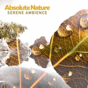 Absolute Nature: Serene Ambience