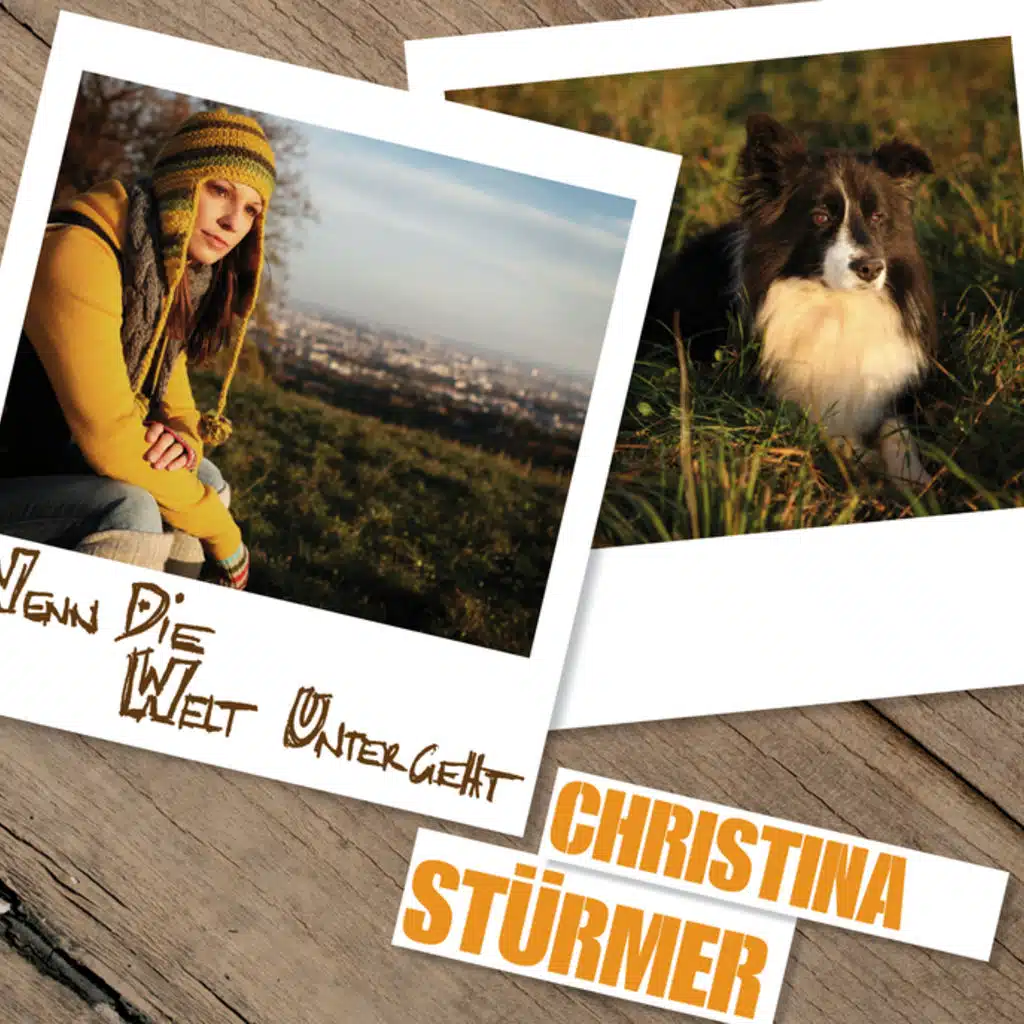 Wenn die Welt untergeht (Radio Edit)